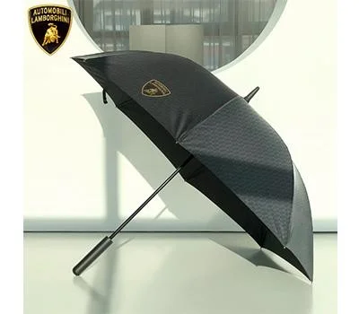 람보르기니 80자동 헥사곤 장우산