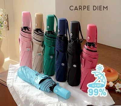 카르페디엠 55암막 3단완전자동양우산